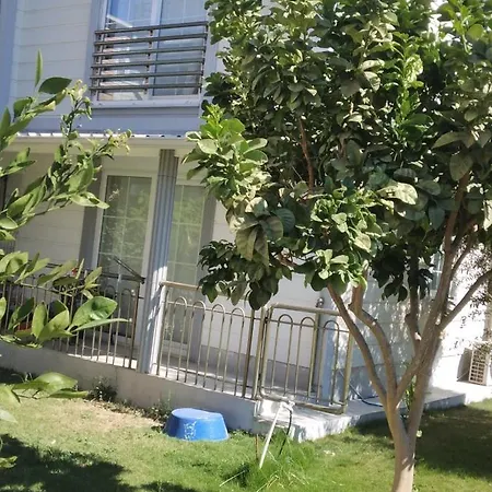 Villalemoon Villa *