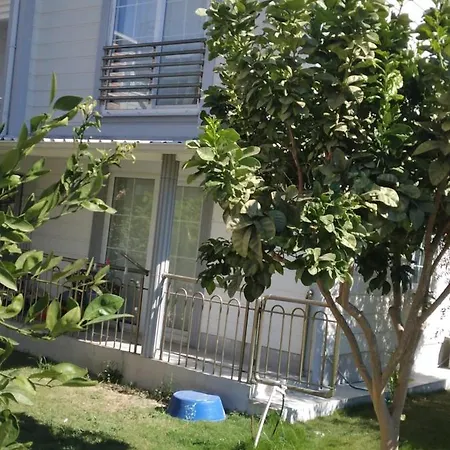 Villa Villalemoon